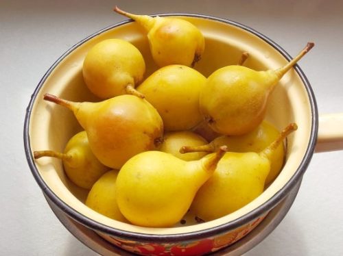 варить, компот, груш варить, компот, груш