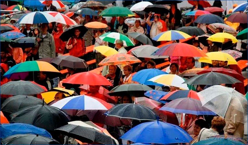 правильно, выбрать, зонт