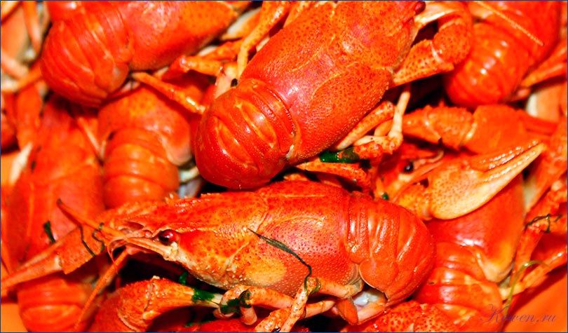 варить, раков, варить раков варить, раков, варить раков