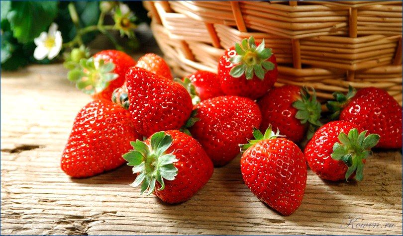 клубника клубника