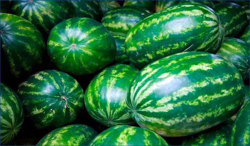 спелый, арбуз