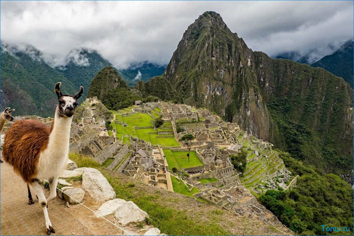 Путешествие в удивительное Перу — открытие культуры, природы и истории
