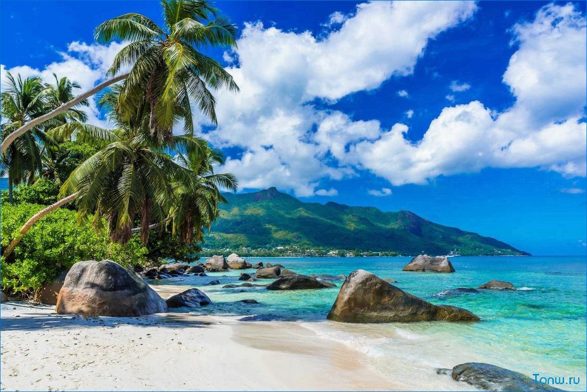 Путешествие на Сейшельские Острова — лучшие места, отели, пляжи и экскурсии для идеального отдыха