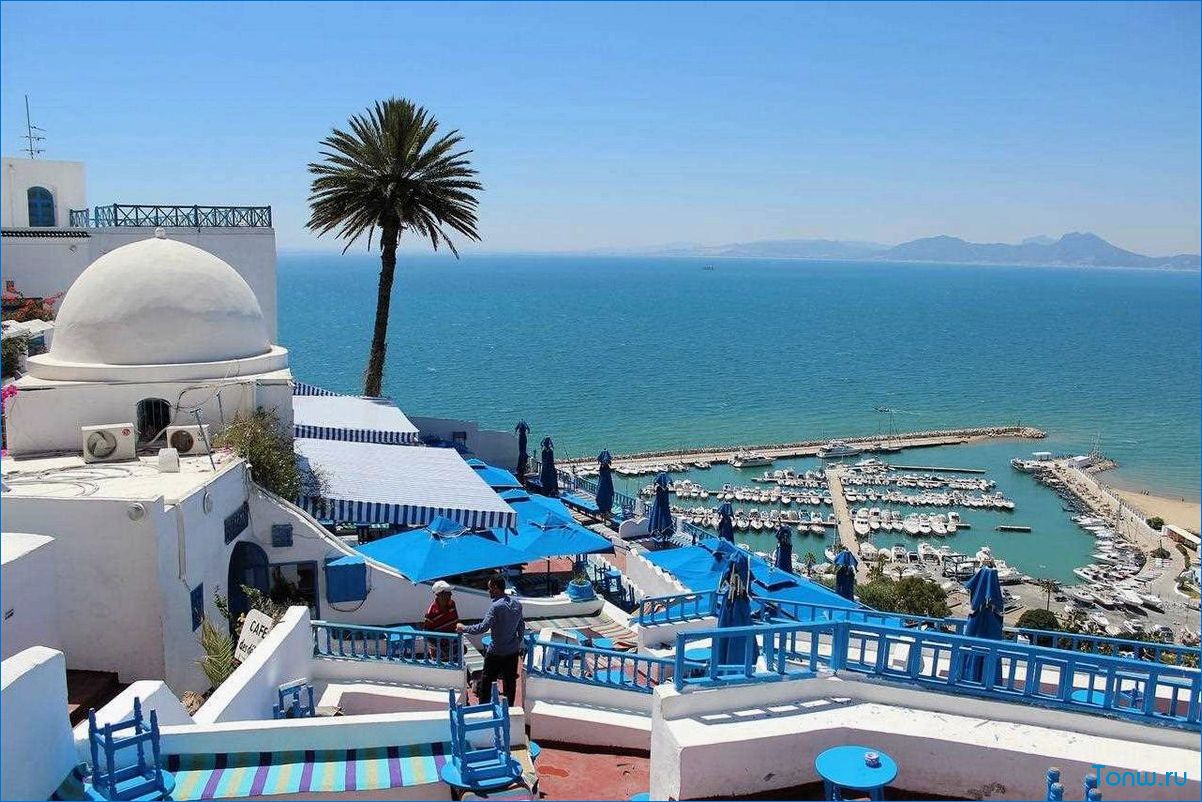 Туризм в Тунисе — лучшие места для отдыха, достопримечательности и советы для путешественников