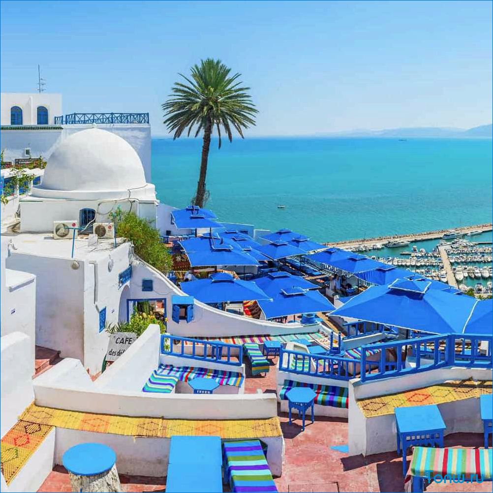 Туризм в Тунисе — лучшие места для отдыха, достопримечательности и советы для путешественников
