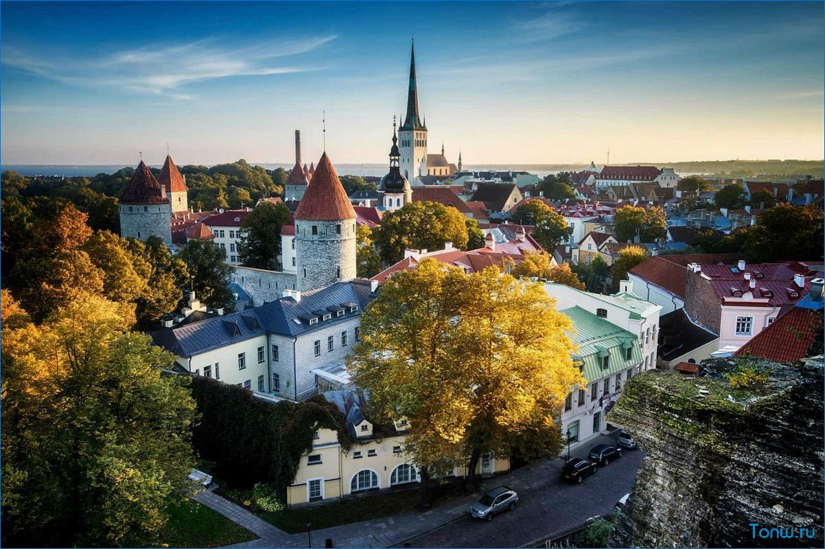 Путешествие в удивительную Эстонию — отдых, природа, культура и история