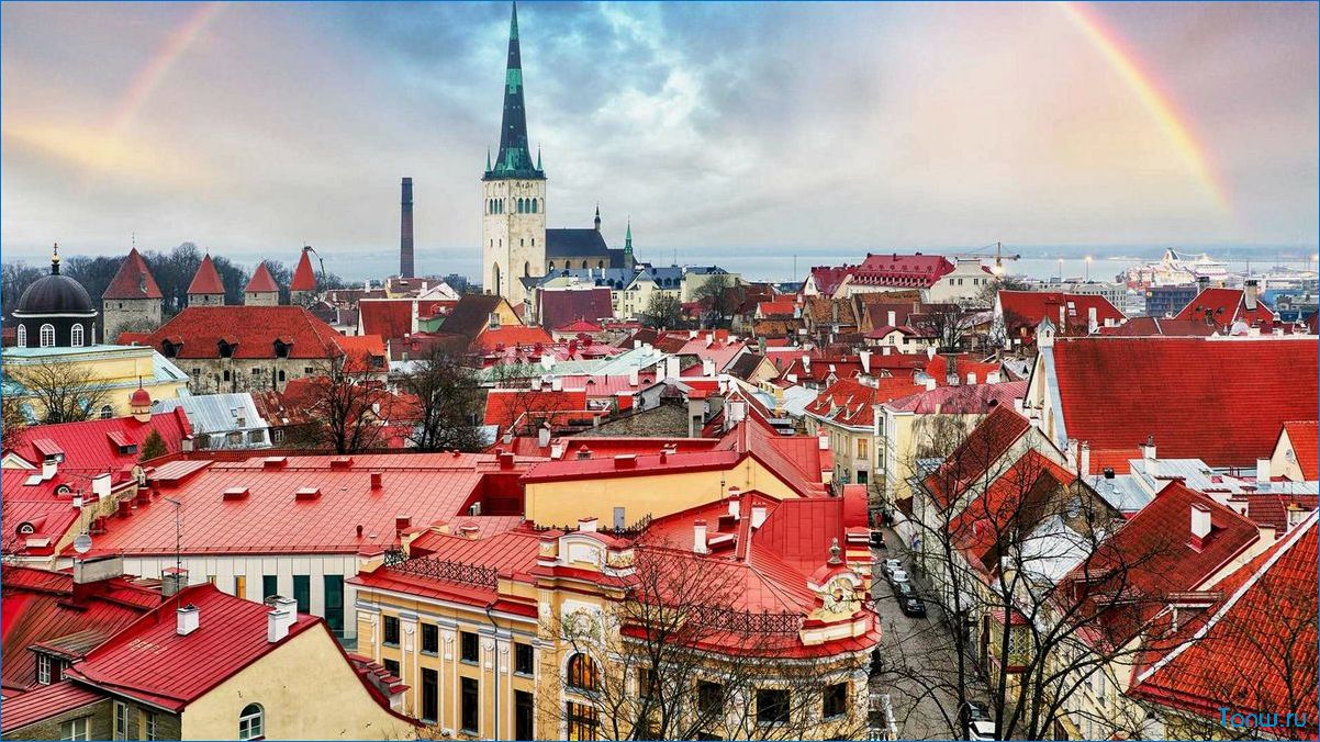 Путешествие в удивительную Эстонию — отдых, природа, культура и история