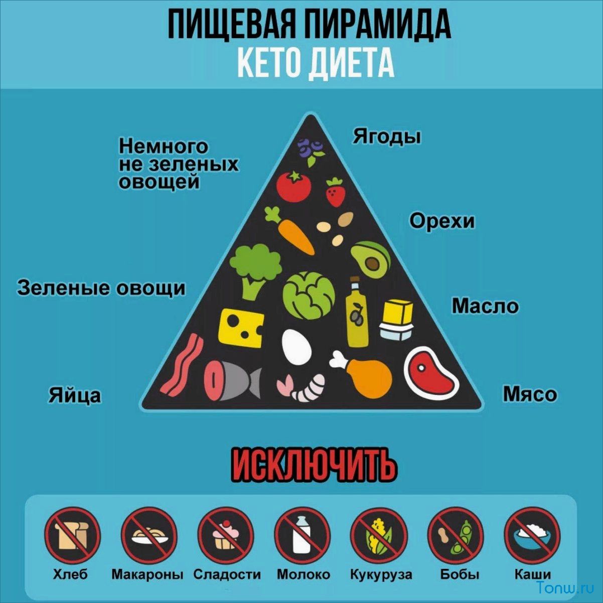 Кетогенная диета — принципы, польза и эффективность для организма и особенности питания  