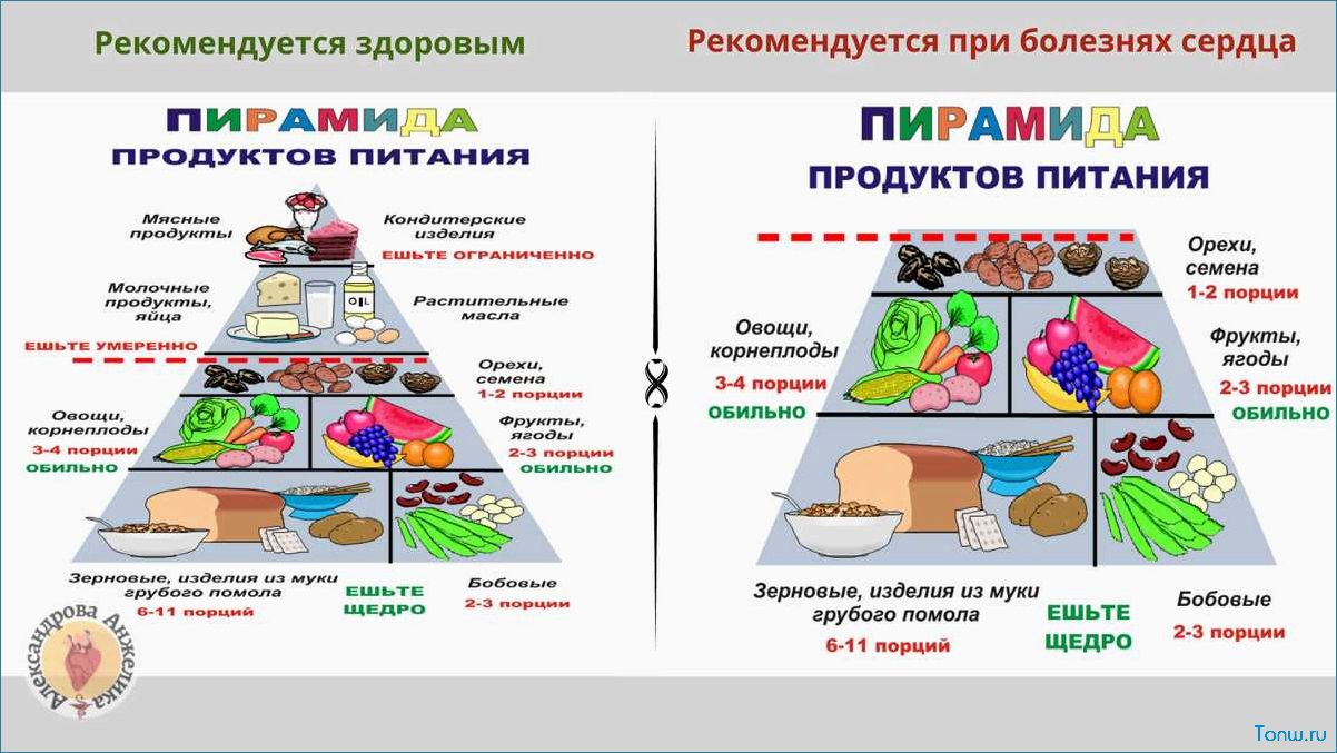 Как выбрать самую эффективную диету — разбираемся в многообразии вариантов 