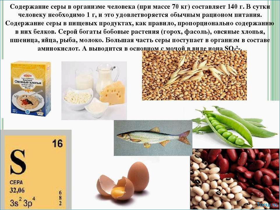 Диета с низким содержанием серы — как улучшить состояние здоровья и бороться с проблемами пищеварения