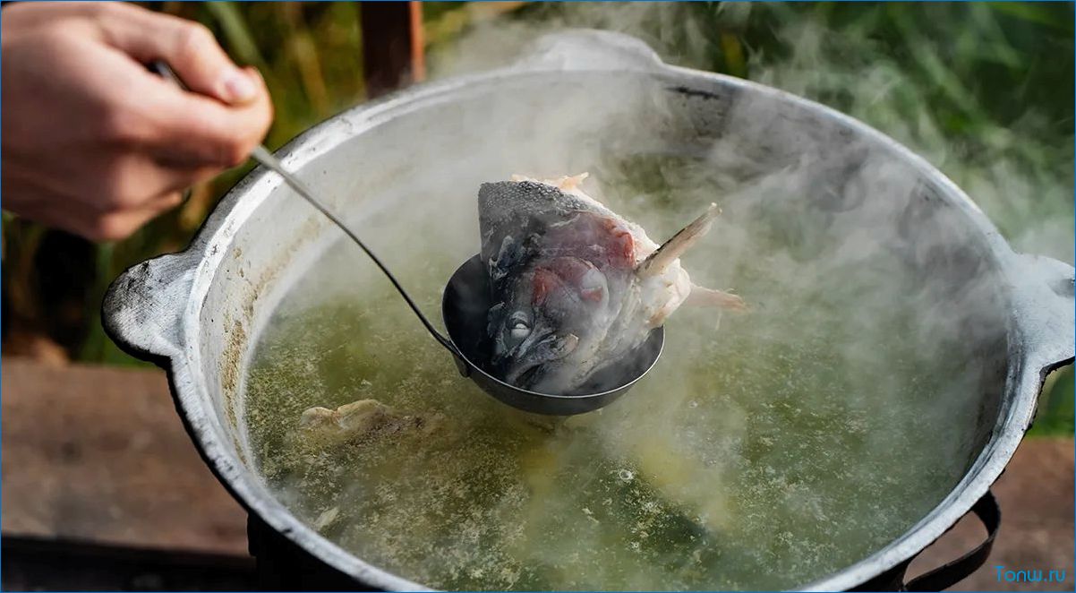 Как приготовить вкусную и полезную уху с овощами — рецепт, секреты и польза для организма