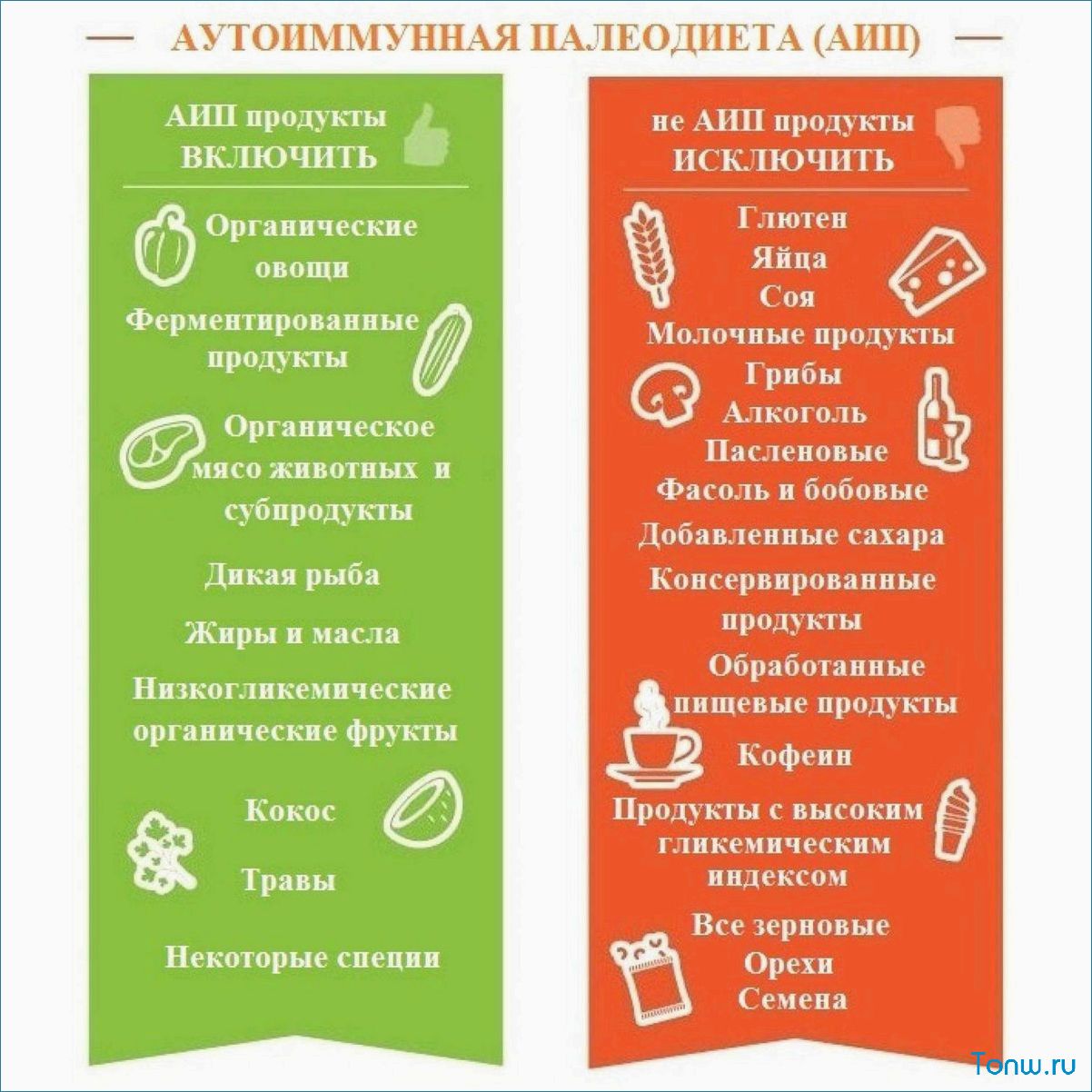 Палеодиета — как вернуться к простым и здоровым продуктам питания  