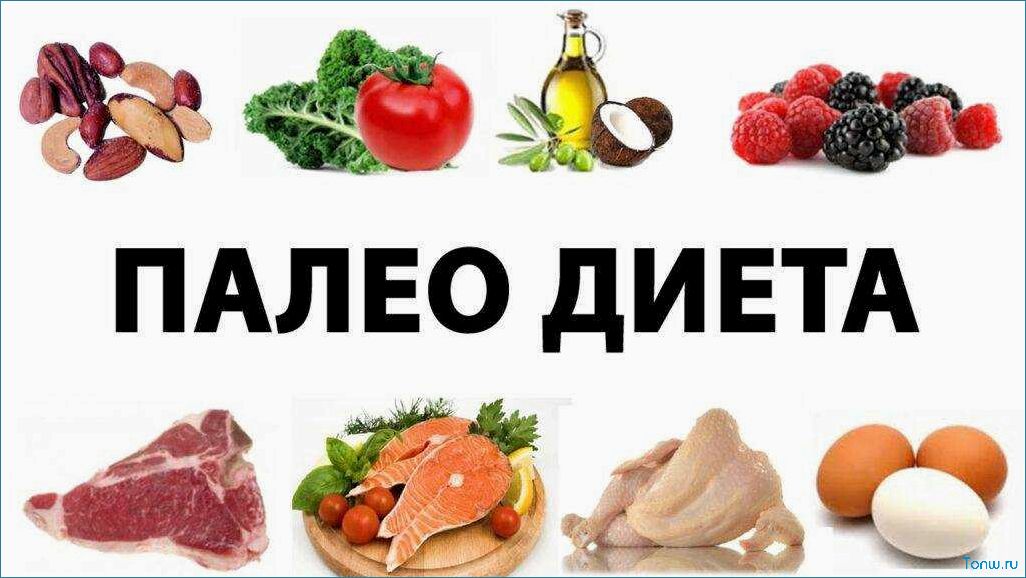 Палеодиета — как вернуться к простым и здоровым продуктам питания  