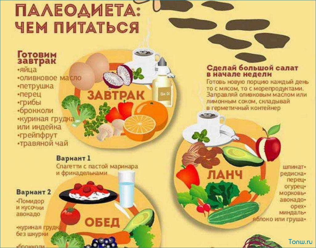 Палеодиета — как вернуться к простым и здоровым продуктам питания  