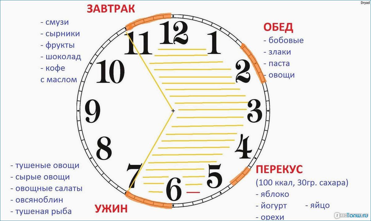 Интервальная диета — революционный метод питания для эффективного сжигания жира  