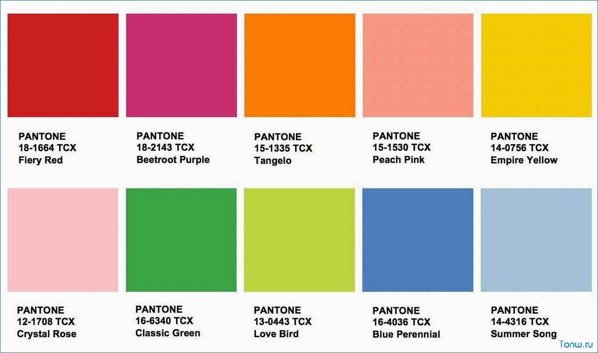 Модные цвета осень-зима 2024-2025 по версии Pantone