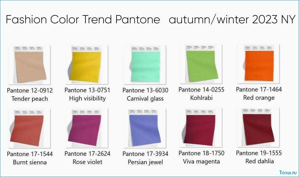 Модные цвета осень-зима 2024-2025 по версии Pantone